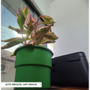 Kit 6 Vaso Plantas Autoirrigável Vaso Antidengue Auto Irrigável Flores Hortas Vaso Escolha as Cores