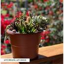 Kit 6 Vaso Plantas Autoirrigável Vaso Antidengue Auto Irrigável Flores Hortas Vaso Escolha as Cores